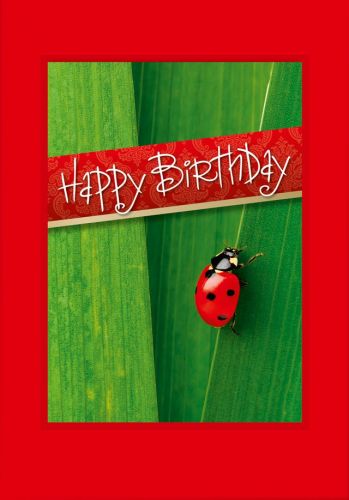 Geburtstagskarte mit rotem Glückskäfer