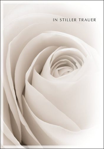 Trauerkarte mit Rosenblüte