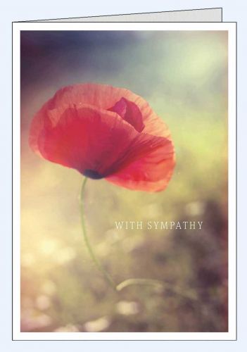 Trauerkarte Englisch mit roter Mohnblume