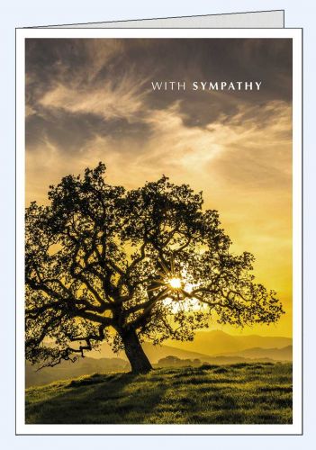 Englische Trauerkarte mit Baum im Sonnenuntergang