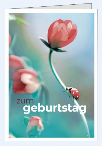 Moderne Geburtstagskarte rote Blume Glückskäfer