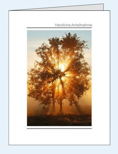 Trauerkarte mit Originalfoto Baum Sonnenuntergang