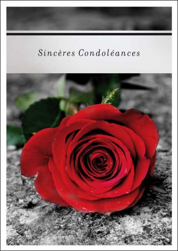 Cartes de condoléances motif Rose Blanche - 1