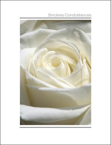 Carte de deuil rose blanche