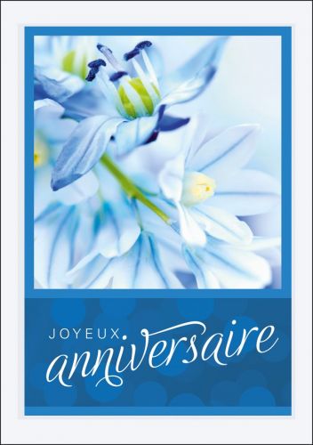 Carte D Anniversaire Fleurs Bleu Bachmann Karten Dallenwil