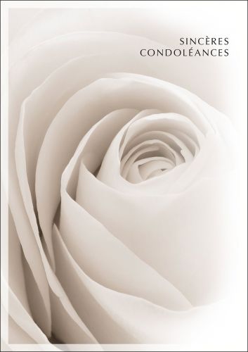 Carte de deuil rose blanche Condoléances
