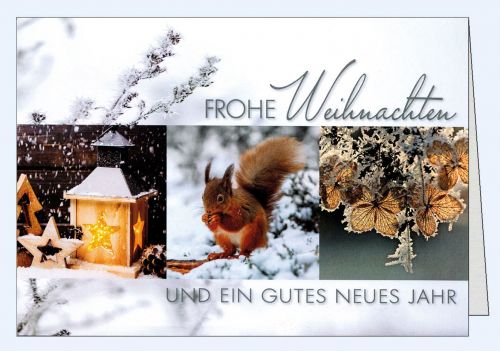 Weihnachtskarte mit drei Fotos Natur