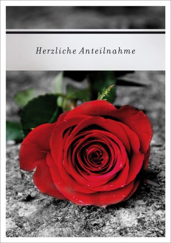 Trauerkarte mit roter Rose
