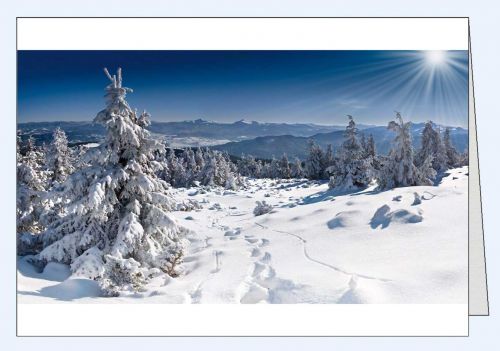 Fotokarte Winterlandschaft Spuren im Schnee