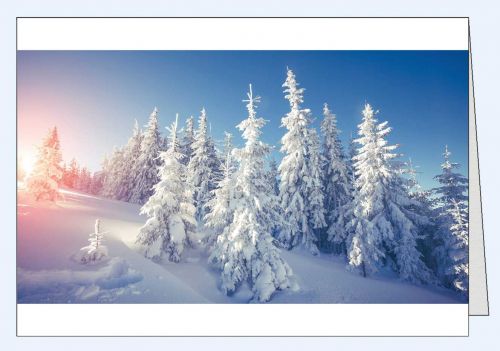Fotokarte Winterlandschaft Schneetannen
