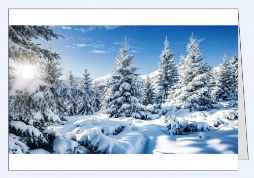 Fotokarte Winterlandschaft Winterwald