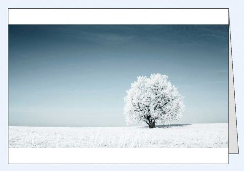 Fotokarte Winterlandschaft einsamer Winterbaum