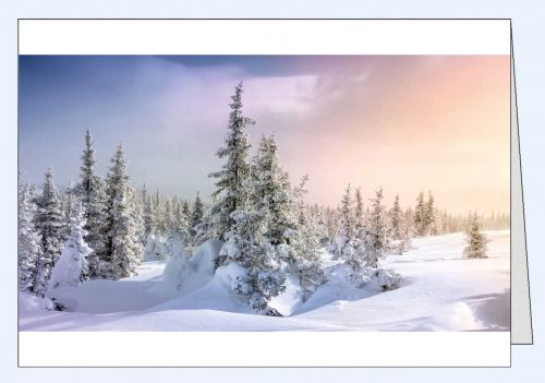 Fotokarte Winterlandschaft Wald Sonnenlicht