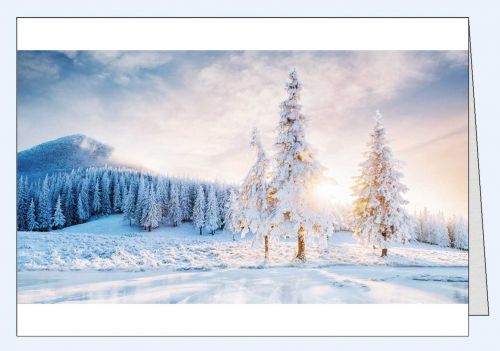 Fotokarte Winterlandschaft drei Tannen