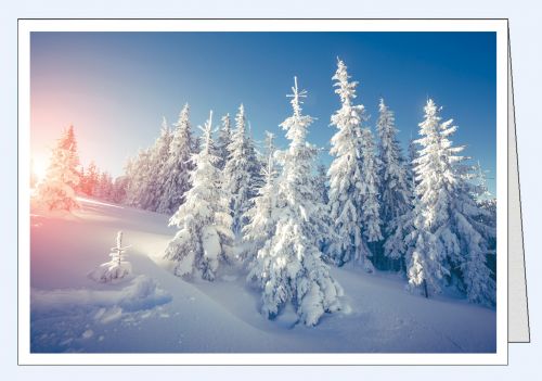 Fotokarte Winterlandschaft Schneetannen