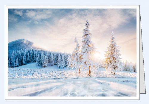 Fotokarte Winterlandschaft drei Tannen